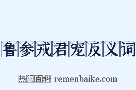 鲁参戎君宠反义词是什么意思的图片